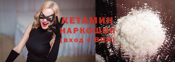 прущие грибы Заводоуковск