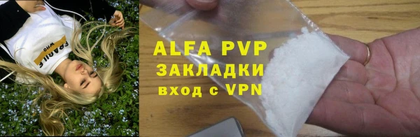 прущие грибы Заводоуковск
