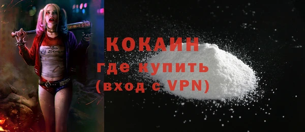 прущие грибы Заводоуковск