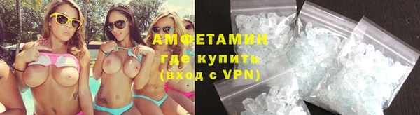 прущие грибы Заводоуковск