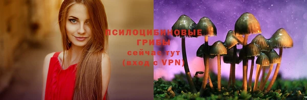 прущие грибы Заводоуковск