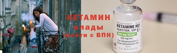прущие грибы Заводоуковск