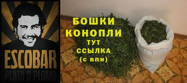 молекула духа Заволжск